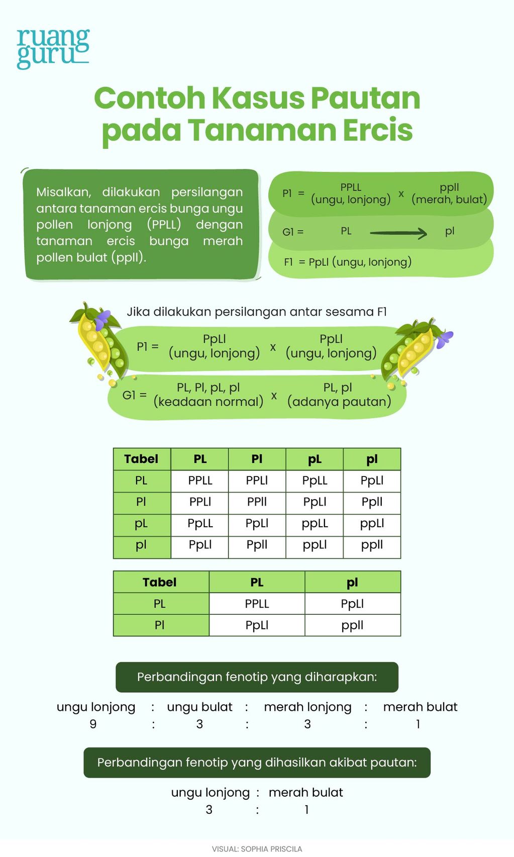 4 Macam Pola Hereditas Pada Makhluk Hidup | Biologi Kelas 12